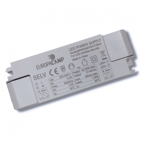 Driver standard 40W