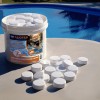 CHLORE RAPIDE GRANULE 1KG