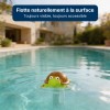Thermomètre piscine flottant tortue