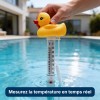 Thermomètre piscine flottant canard
