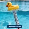 Thermomètre piscine flottant canard