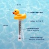 Thermomètre piscine flottant canard