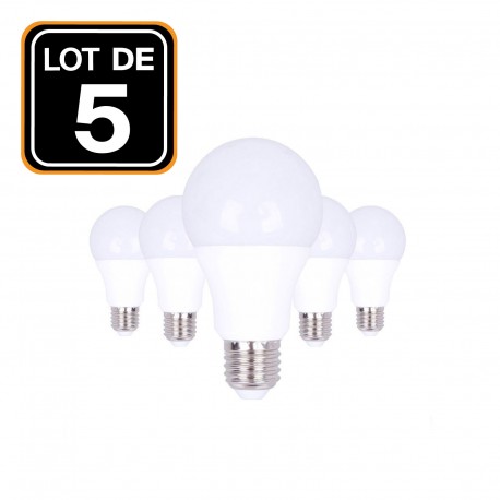 Lot 5 Ampoules LED E27 20W 2700K Blanc Chaud Haute Luminosité